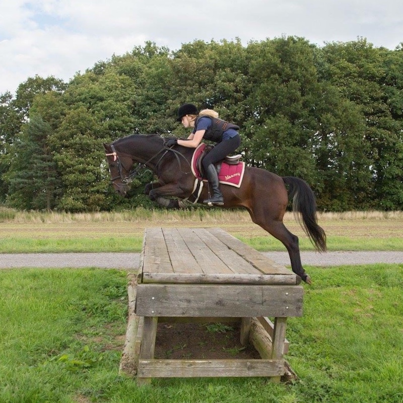 Who Rides Moondancer Moondancer, The Tale Behind at Tail End Jewellery